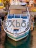 Technical sheet BAYLINER 3055 AVANTI SUNBRIDGE