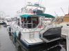 Used Motorboat YARDING YACHT 36 