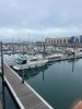 Used Motorboat YARDING YACHT 36 