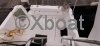 Used Motorboat BAYLINER 2858 CLASSIC
