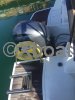 Technical sheet MERRY FISHER 795