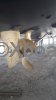 Technical sheet FERRETTI 52 S FLY