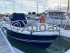 Technical sheet WHITE SHARK 225