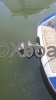 Technical sheet CHRIS CRAFT CORSAIR 25