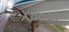 Used Motorboat RIVA BERTRAM 25 SPORT FISHERMAN