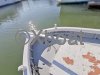 Technical sheet BARQUE MARSEILLAISE
