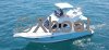 Technical sheet ALTAIR 10 FLY