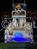 Technical sheet ALTAIR 10 FLY
