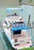 Technical sheet ALTAIR 10 FLY