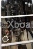Technical sheet VEDETTE HOLLANDAISE WOUDBLOEM 1050 AK
