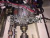 Technical sheet VEDETTE HOLLANDAISE WOUDBLOEM 1050 AK