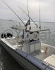 Technical sheet MAKO 282