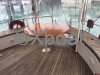 Technical sheet STEEL MOTORSAILER