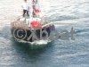Used sailboat CARTER 43