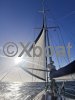 Technical sheet FIJIAN 46