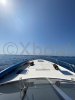 Used Motorboat GOBBI 44 SPORT