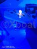 Used Motorboat GOBBI 44 SPORT