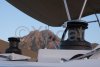 Used multihull LAGOON 450F