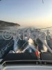 Used multihull LAGOON POWER 43
