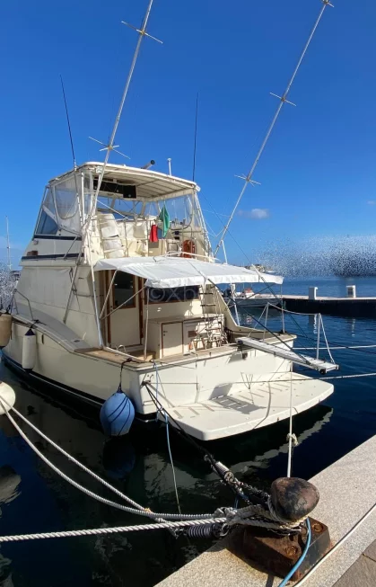 Used Motorboat Hatteras 51