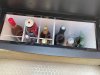 Used Motorboat Sea Ray 290 Sun Sport
