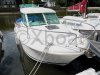 Technical sheet MERRY FISHER 655