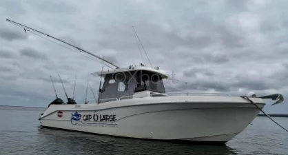 Used Motorboat SAN REMO 865 T TOP