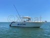 Used Motorboat SAN REMO 865 T TOP