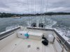 Used Motorboat SAN REMO 865 T TOP