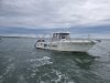 Used Motorboat SAN REMO 865 T TOP