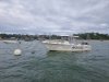 Used Motorboat SAN REMO 865 T TOP