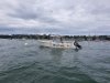Used Motorboat SAN REMO 865 T TOP