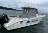 Used Motorboat SAN REMO 865 T TOP