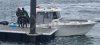 Used Motorboat SAN REMO 865 T TOP