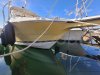 Used Motorboat WELLCRAFT COASTAL 290