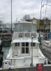 Used Motorboat CARIBBEAN 40