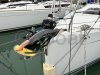 Used sailboat HANSE 348