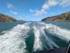 Used Motorboat ANTARES 30 FLY