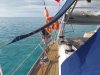Used sailboat Allures 44