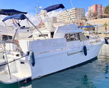 Used Motorboat PRINCESS 41