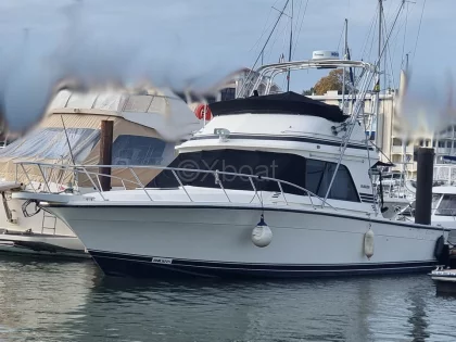 Used Motorboat BLACKFIN 38 CONVERTIBLE