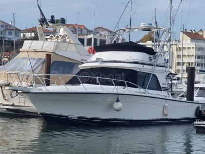 Used Motorboat BLACKFIN 38 CONVERTIBLE