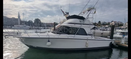 Used Motorboat BLACKFIN 38 CONVERTIBLE