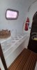 Used multihull WILDCAT 35