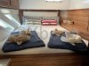 Used multihull KNYSNA 500 SE