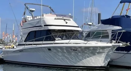 Used Motorboat RIVIERA 33 FLYBRIDGE