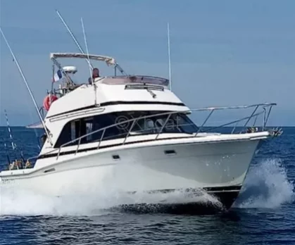 Used Motorboat RIVIERA 33 FLYBRIDGE