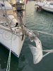 Used sailboat DUFOUR 385
