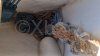 Used sailboat DUFOUR 40 PERFORMANCE