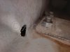 Used sailboat HANSE 371